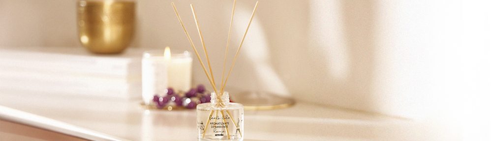 Sumá un difusor y transofrmá tu hogar.