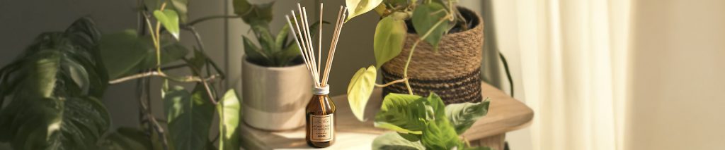 Encontrá esencias para tu difusor en Arredo.